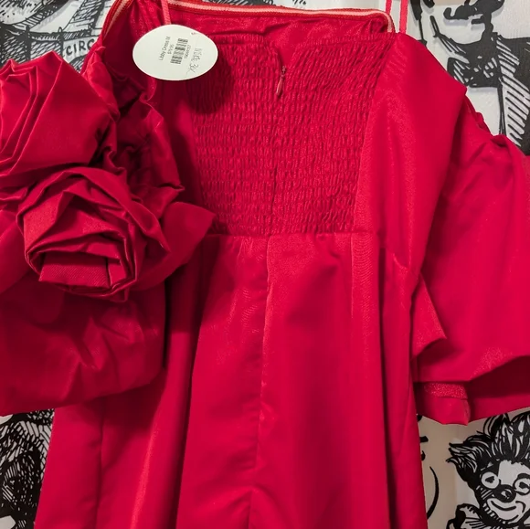 DO+BE Red Mini Dress with Rosette Puff Sleeves - Picture 5 of 5